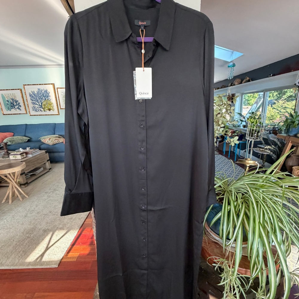 Quince Silk Shirt Dress Womens Large Black Stretch Midi Button Down Quiet Luxury